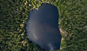 Lago Selva negra Alemania